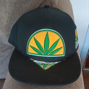 Zion hat